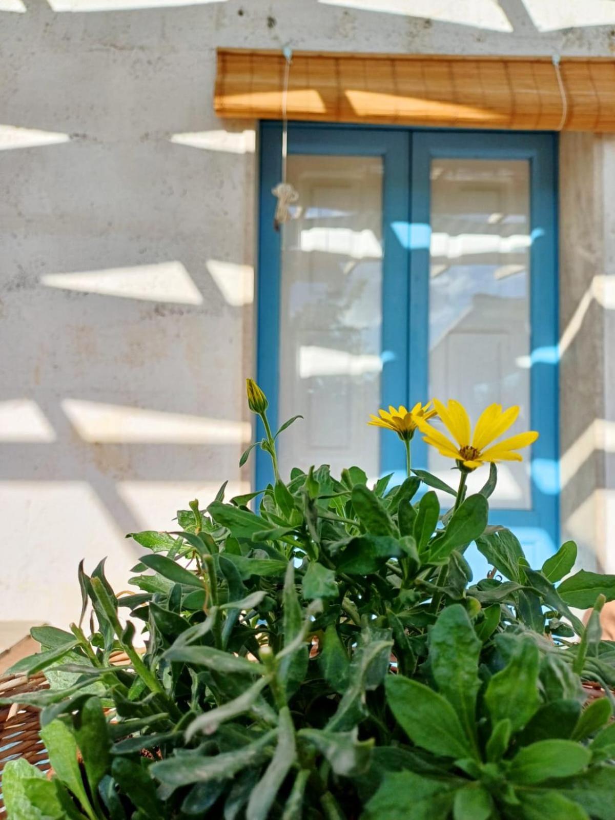 Casina La Tajata Villa มันดูเรีย ภายนอก รูปภาพ